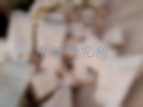 鋯剛玉檢測(cè)