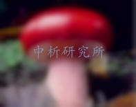 紅菇檢測,紅菇檢測報告