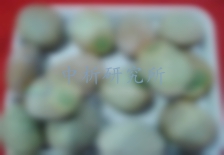 夜光石檢測,夜光石檢測報告