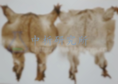 蟾衣檢測,蟾衣檢測報告