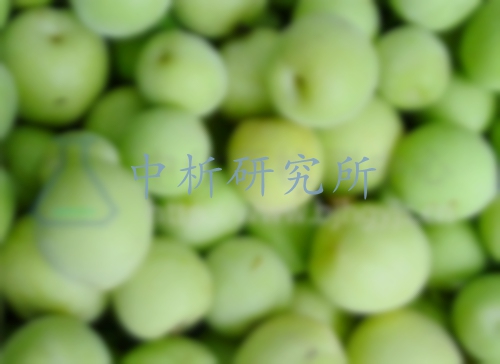 青梅檢測,青梅檢測報告