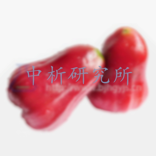 蓮霧檢測,蓮霧檢測報告