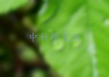 葉綠素含量測定