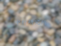 砂礫石檢測,砂礫石檢測報告