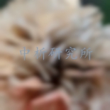 灰樹花檢測,灰樹花檢測報告