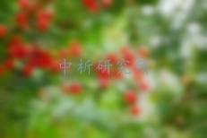 紫杉醇檢測,紫杉醇檢測報告