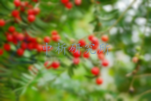 紫杉醇檢測,紫杉醇檢測報告