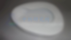 便盆檢測,便盆檢測