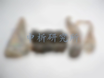熊膽檢測