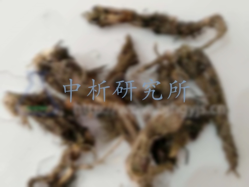 甘松檢測,甘松藥典檢測