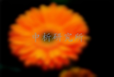 燈盞花檢測,燈盞花檢測報告