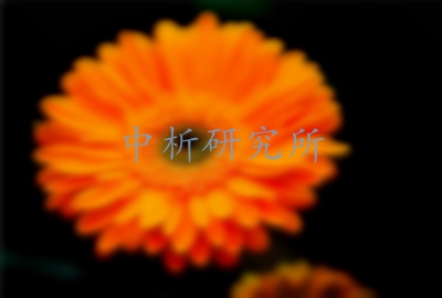 燈盞花檢測,燈盞花檢測報告