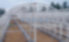 鋼結構大棚檢測,鋼結構大棚檢測報告