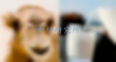 駝乳檢測(cè)