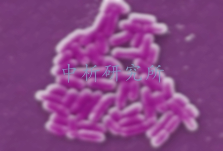 嗜冷菌檢測(cè),嗜冷菌檢測(cè)報(bào)告