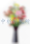 花瓶檢測,花瓶檢測報告