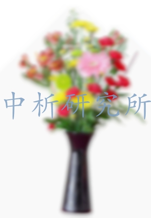 花瓶檢測,花瓶檢測報告