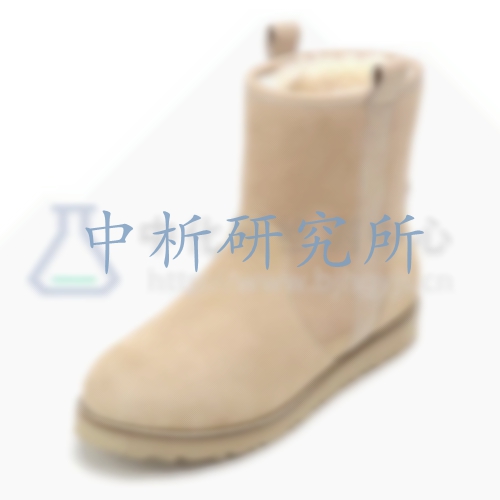 雪地靴檢測