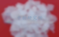 片堿檢測