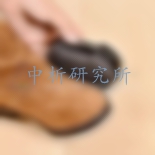 鞋油檢測
