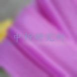 耐起痕指數