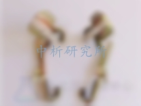 腳扣檢測