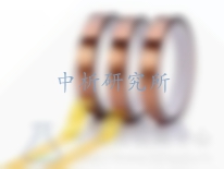 聚酰亞胺檢測